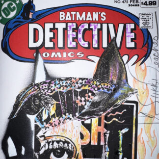 BATDETECT_detail2